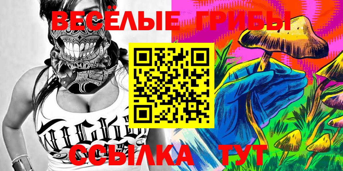 Владикавказ  Галлюциногенные грибы Psilocybine cubensis  где найти   Вход с VPN 